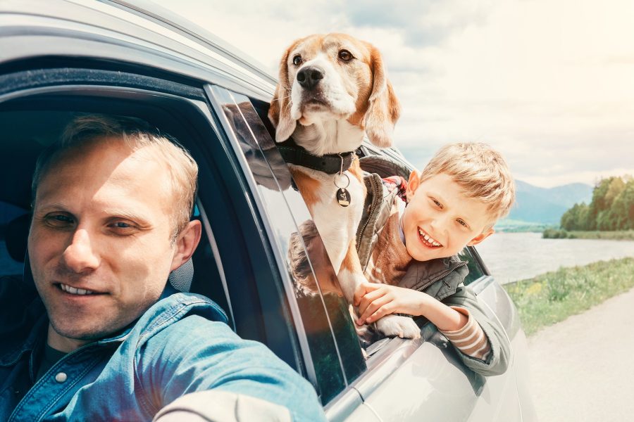 Father with son and dog look from the car window